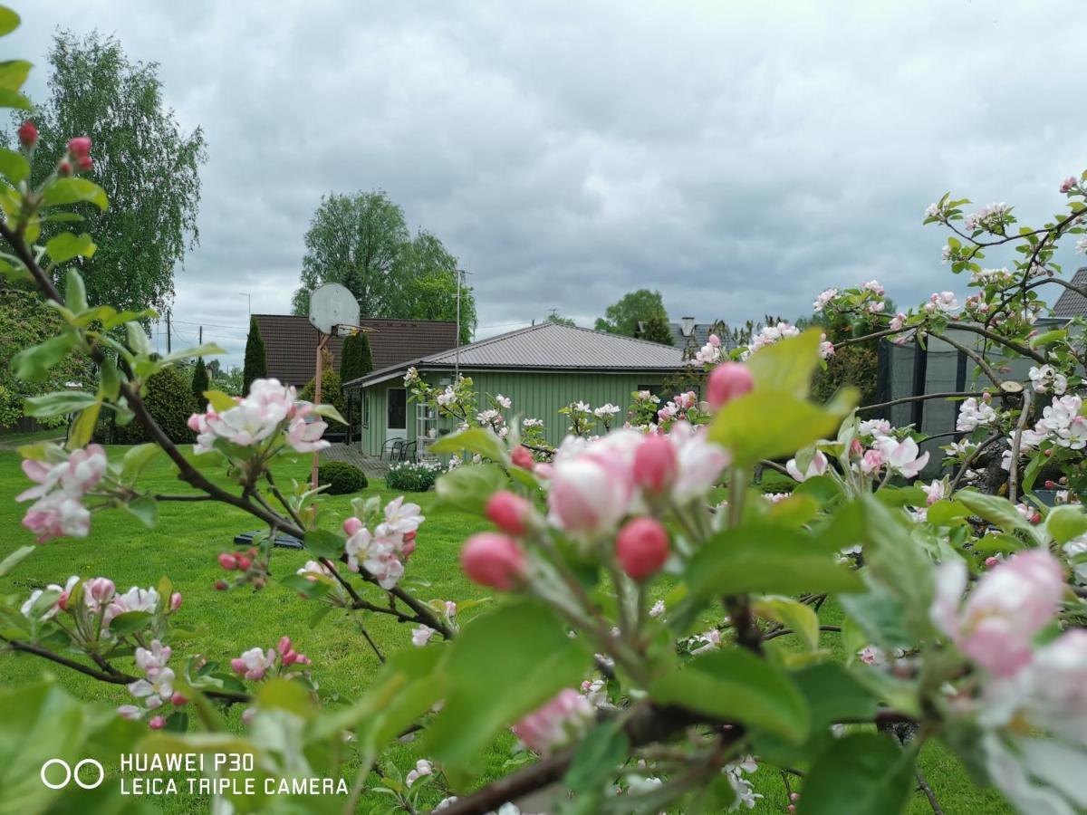 Kaare Guesthouse Viljandi  Kültér fotó